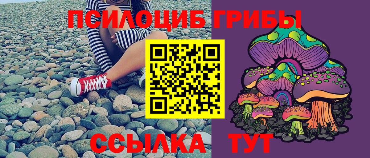 Псилоцибиновые грибы мухоморы Видное